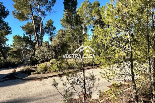 PARCELA – Utiel – 0034841_S