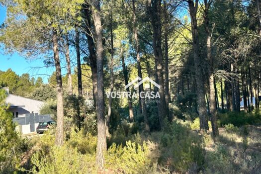 PARCELA – Utiel – 0024535_S