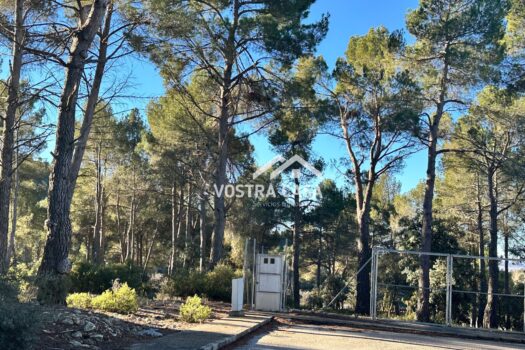 PARCELA – Utiel – 0024535_S