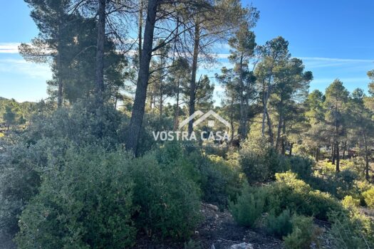 PARCELA – Utiel – 0022182_S