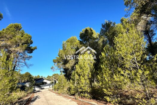 PARCELA – Utiel – 0024429_S