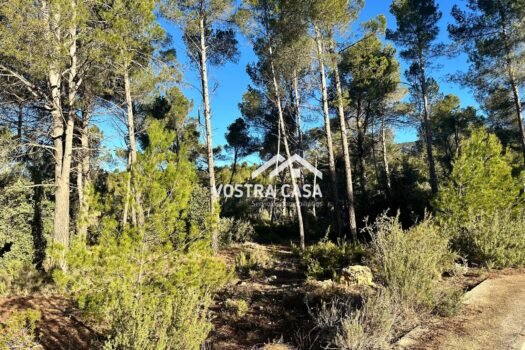 PARCELA – Utiel – 0022125_S
