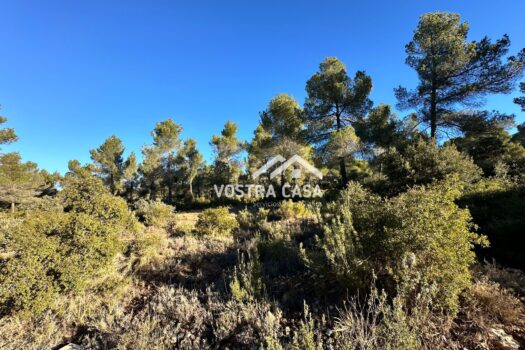 PARCELA – Utiel – 0032304_S