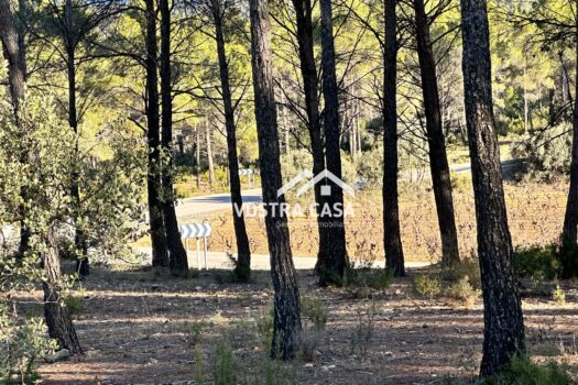 PARCELA – Utiel – 0026984_S