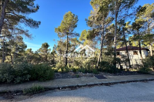 PARCELA – Utiel – 0026984_S
