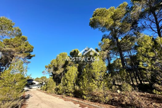 PARCELA – Utiel – 0028596_S