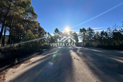 PARCELA – Utiel – 0028596_S