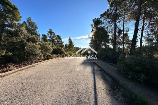 PARCELA – Utiel – 0034229_S