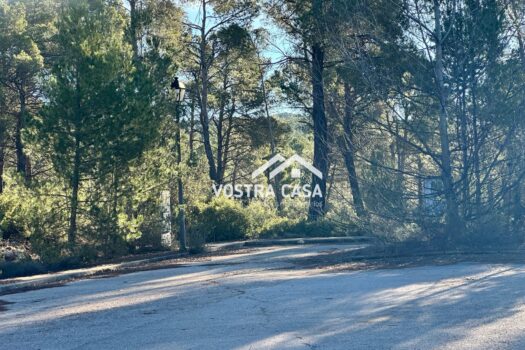 PARCELA – Utiel – 0034229_S
