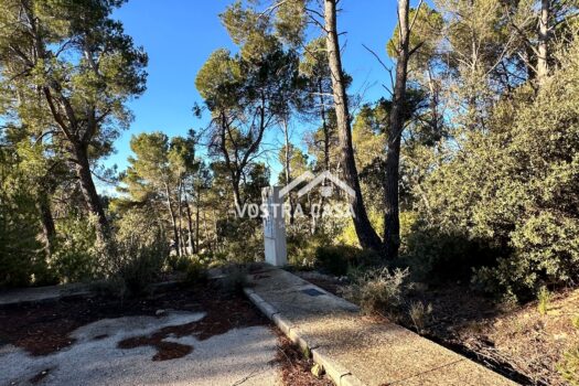 PARCELA – Utiel – 0034229_S
