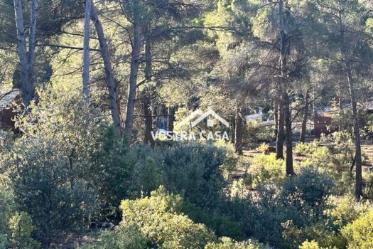 PARCELA – Utiel – 0030673_S