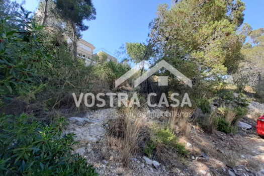 SOLAR – Chiva – 00649-0001_S