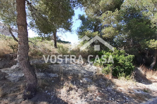 SOLAR – Chiva – 00649-0001_S