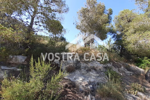 SOLAR – Chiva – 00649-0001_S