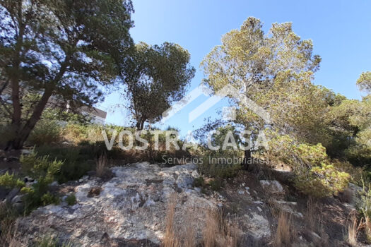 SOLAR – Chiva – 00649-0001_S