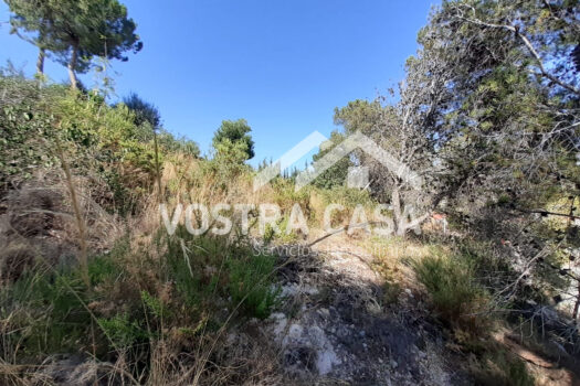 SOLAR – Chiva – 00649-0001_S