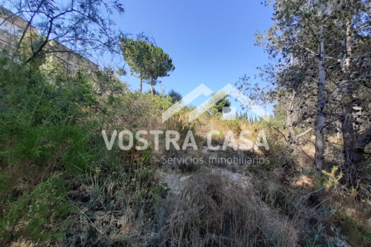 SOLAR – Chiva – 00649-0001_S