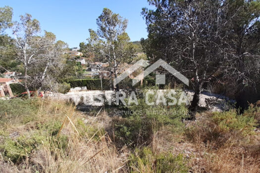 SOLAR – Chiva – 00649-0001_S