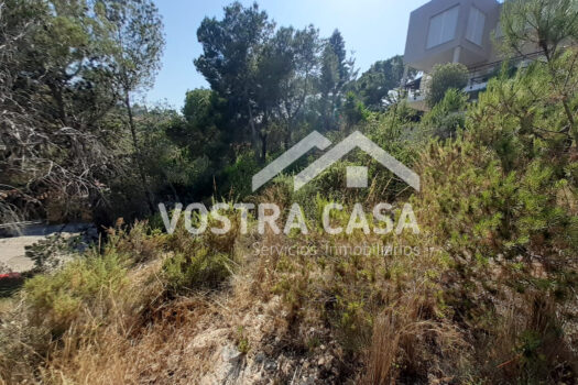 SOLAR – Chiva – 00649-0001_S