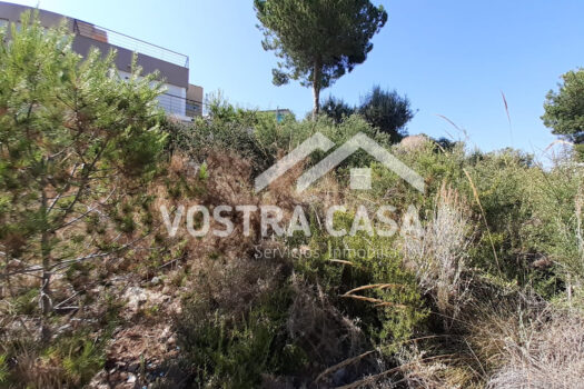 SOLAR – Chiva – 00649-0001_S