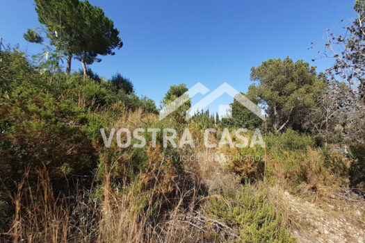 SOLAR – Chiva – 00649-0001_S