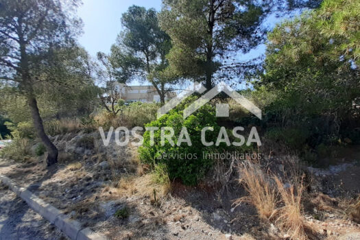 SOLAR – Chiva – 00649-0001_S