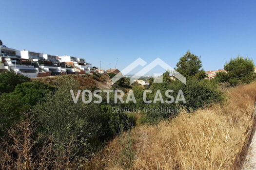 SOLAR – Chiva – 00823-0001_S