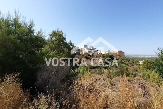 SOLAR – Chiva – 00823-0001_S