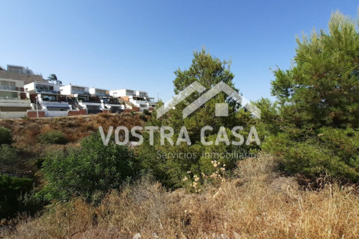 SOLAR – Chiva – 00823-0001_S