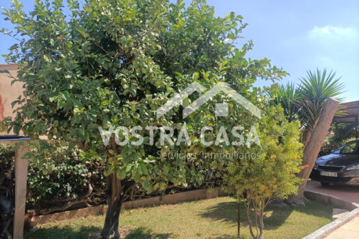 CHALET INDEPENDIENTE – Chiva – 30051082_S