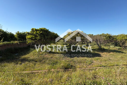 SOLAR – Chiva – 00602-0003_S