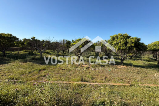 SOLAR – Chiva – 00602-0003_S