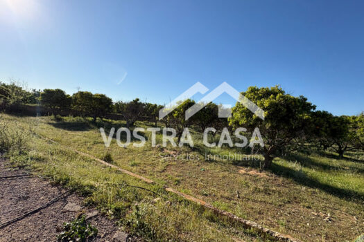 SOLAR – Chiva – 00602-0003_S