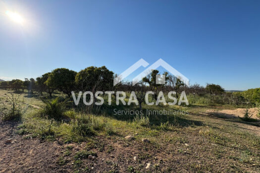 SOLAR – Chiva – 00602-0003_S