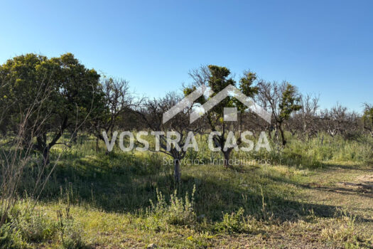 SOLAR – Chiva – 00602-0003_S