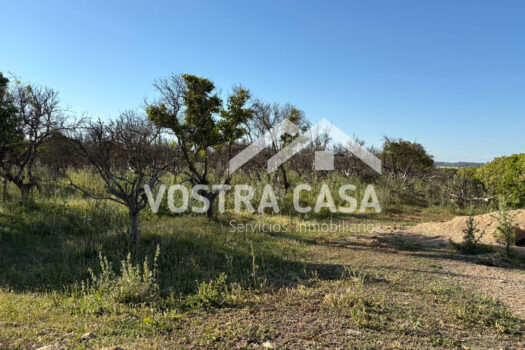 SOLAR – Chiva – 00602-0003_S