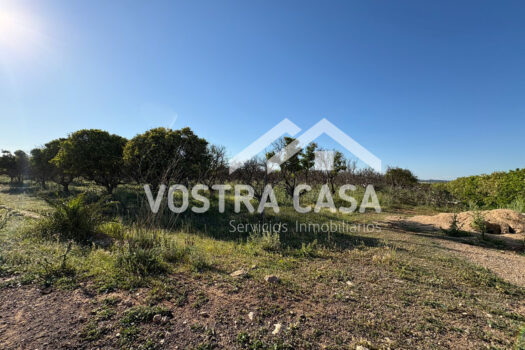 SOLAR – Chiva – 00602-0003_S