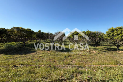 SOLAR – Chiva – 00602-0003_S