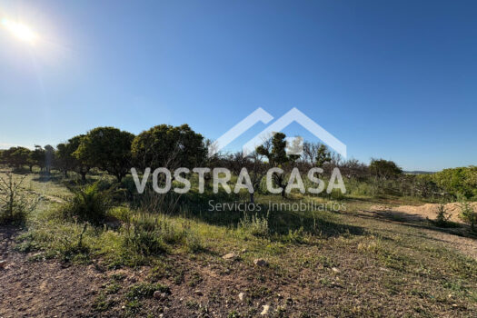 SOLAR – Chiva – 00602-0003_S