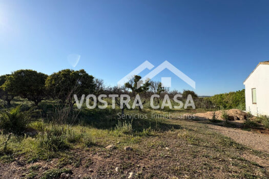 SOLAR – Chiva – 00602-0003_S