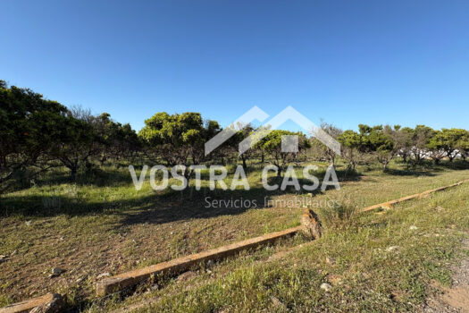 SOLAR – Chiva – 00602-0003_S