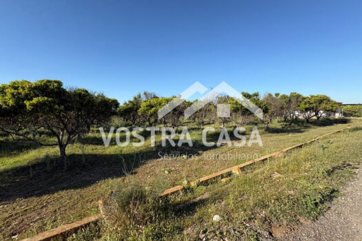 SOLAR – Chiva – 00602-0003_S