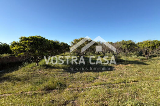 SOLAR – Chiva – 00602-0003_S