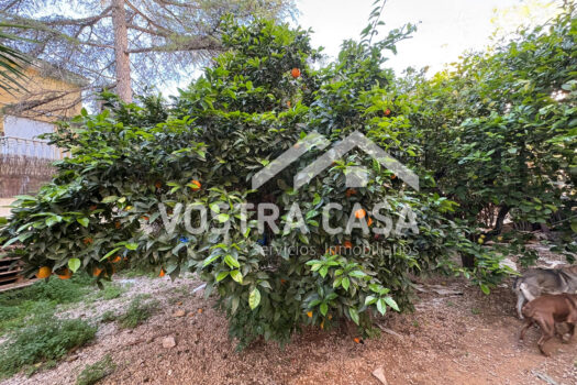 CHALET INDEPENDIENTE – Godelleta – 30062010_S