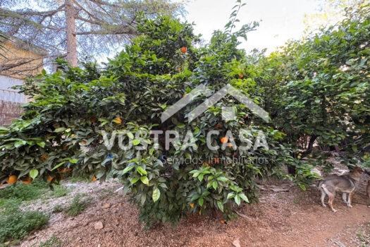 CHALET INDEPENDIENTE – Godelleta – 30062010_S