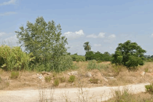 SUELO URBANIZABLE – Catarroja – 04416-0001_S