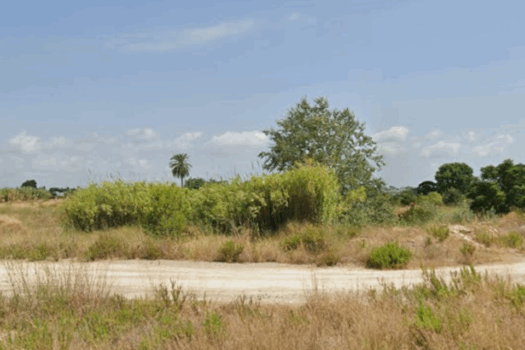 SUELO URBANIZABLE – Catarroja – 04416-0001_S