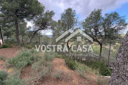 SOLAR – Chiva – 30062012_S