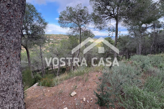 SOLAR – Chiva – 30062012_S