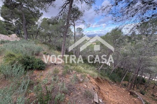 SOLAR – Chiva – 30062012_S